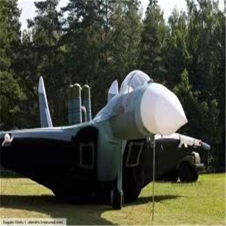 武夷山充气模型飞机制造商家